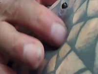 Homeless stranger plays with Oliver Liebowitz&rsquo;s belly button