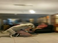 Sisters got knotted by my dog so hot 🔥