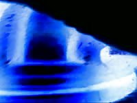 Blacklight fleshlight