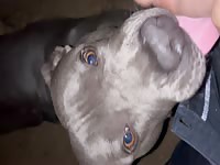 Good boy knows how to please daddy