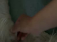 Jerking off my Uncle&rsquo;s dog&rsquo;s cock