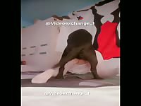 Zoo Porn Dog