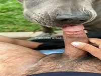 Very good boy is addicted to daddy&rsquo;s dick